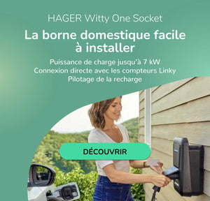 borne domestique